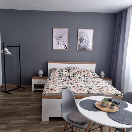 Apartman Ursula Jáchymov Esterno foto